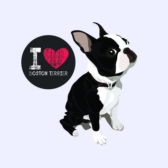 Placa Decorativa Cachorro Frase: "I Love Boston Terrier" Cinza