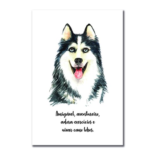 Placa Decorativa Cachorro Husky Siberiado Características da Raça