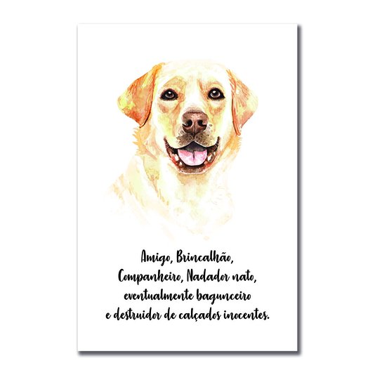 Placa Decorativa Cachorro Labrador Características da Raça