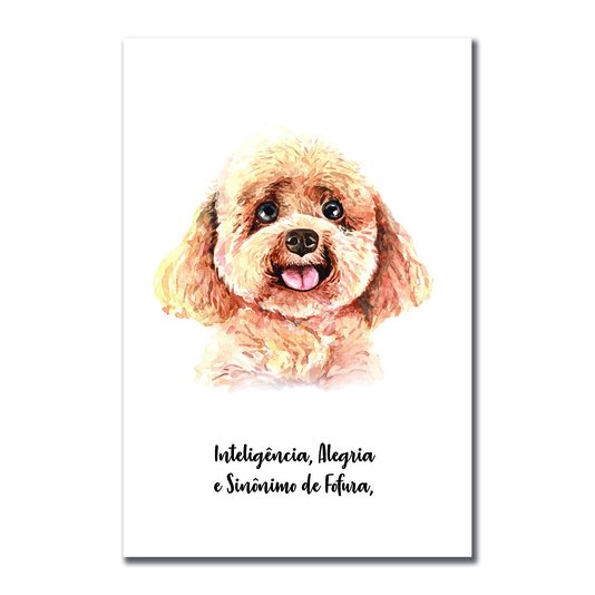Placa Decorativa Cachorro Poodle Características da Raça