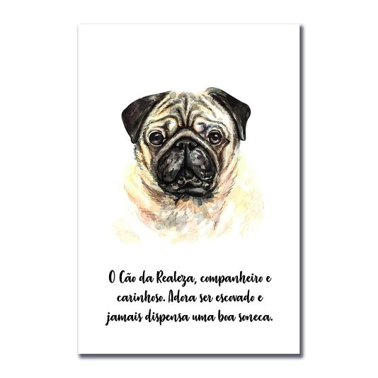 Placa Decorativa Cachorro Pug Características da Raça