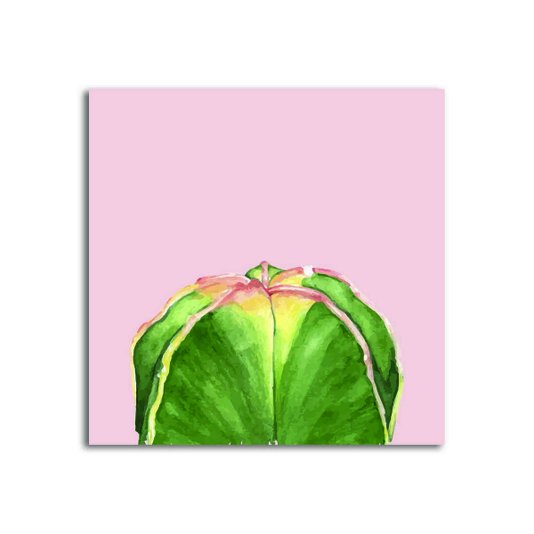 Placa Decorativa Cactus com Fundo Rosa