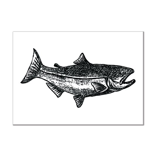 Placa Decorativa Coleção Mar Peixe