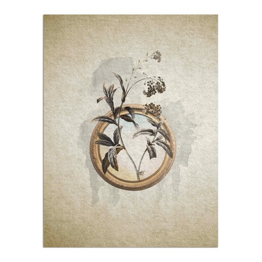 Placa Decorativa Molduras Com Flores Vintage