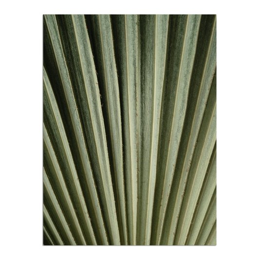 Placa Decorativa Natureza Minimalista Folha Verde