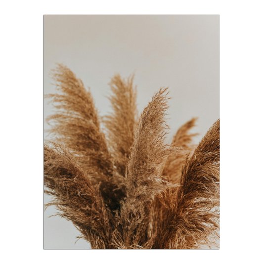 Placa Decorativa Natureza Minimalista Plantas Secas