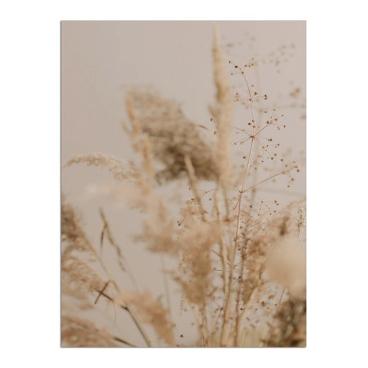 Placa Decorativa Natureza Minimalista Plantas Secas