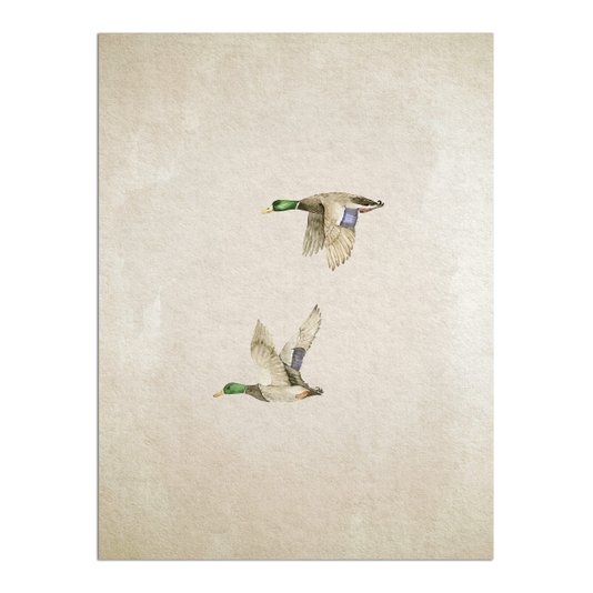 Placa Decorativa Patos Vintage Farmhouse
