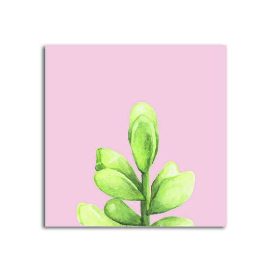 Placa Decorativa Planta Suculenta com Fundo Rosa
