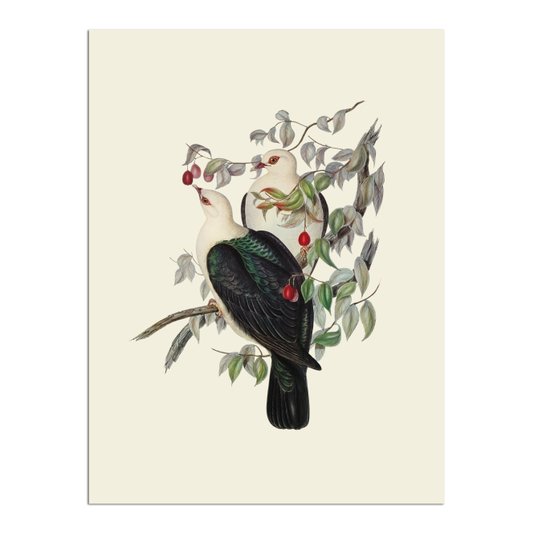 Placa Decorativa Pombos De Fruta Vintage Farmhouse