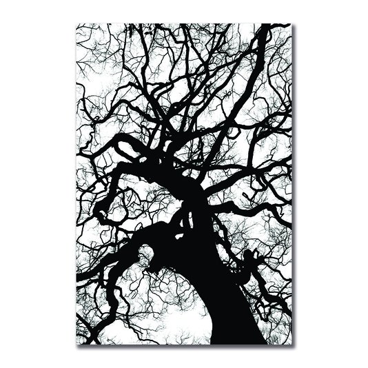 Placa Decorativa Preto e Branco Galhos de Árvore