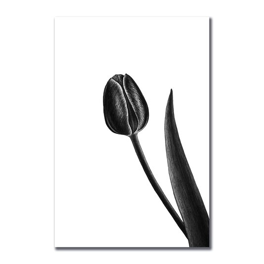 Placa Decorativa Preto e Branco Tulipa