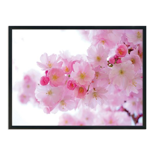 Quadro Decorativo Árvore Florida