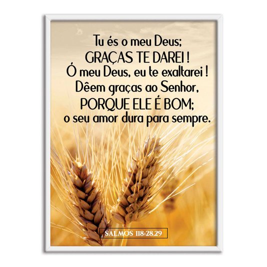 Quadro Decorativo Bíblico Salmos 118:28,29