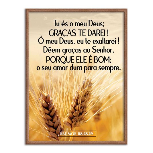 Quadro Decorativo Bíblico Salmos 118:28,29