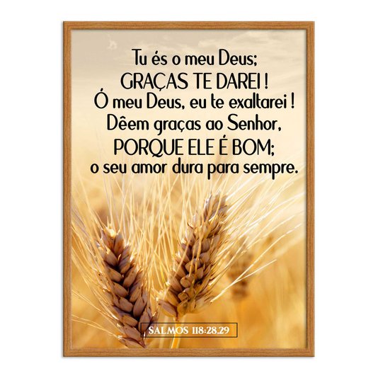 Quadro Decorativo Bíblico Salmos 118:28,29