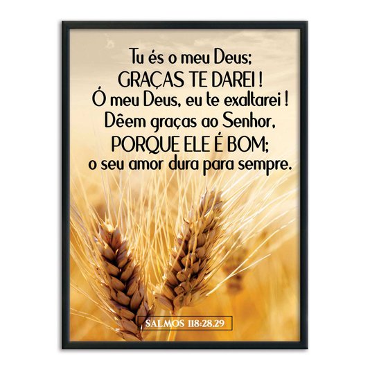 Quadro Decorativo Bíblico Salmos 118:28,29