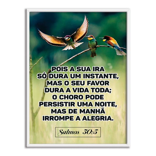 Quadro Decorativo Bíblico Salmos 30:5