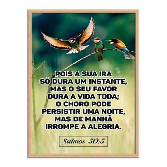 Quadro Decorativo Bíblico Salmos 30:5