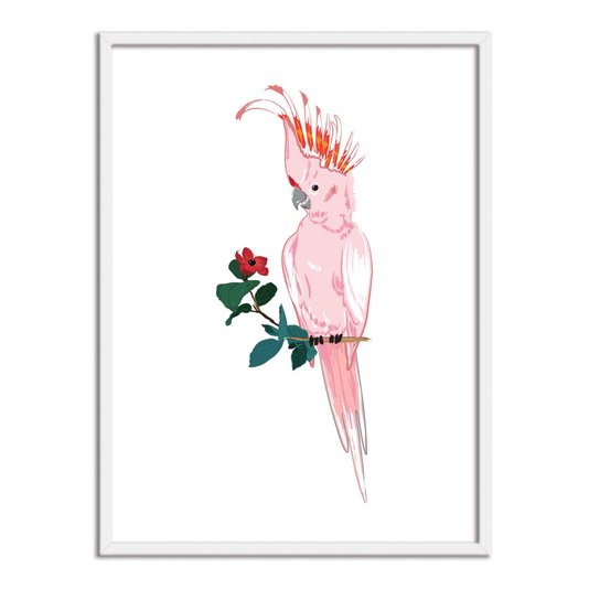 Quadro Decorativo Cacatua Rosa