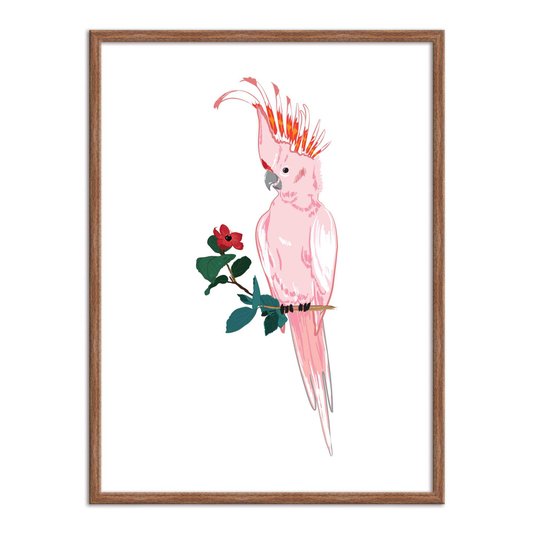 Quadro Decorativo Cacatua Rosa