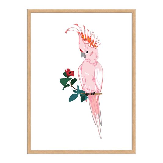 Quadro Decorativo Cacatua Rosa