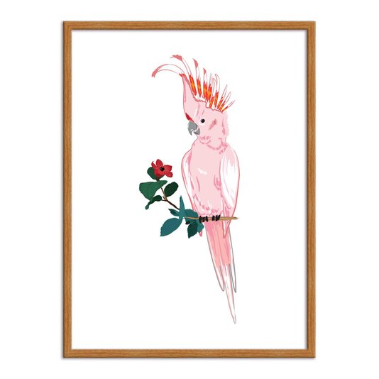 Quadro Decorativo Cacatua Rosa