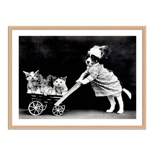 Quadro Decorativo Cachorrinha com Gatinhos