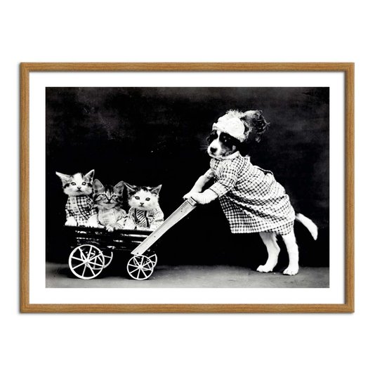 Quadro Decorativo Cachorrinha com Gatinhos