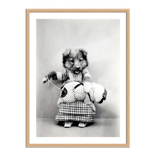 Quadro Decorativo Cachorrinha Costureira