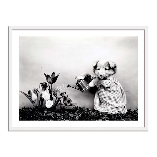 Quadro Decorativo Cachorrinha Jardineira