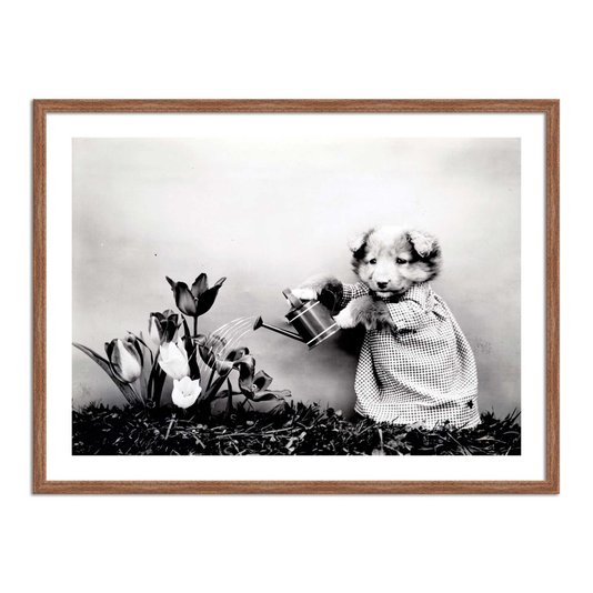 Quadro Decorativo Cachorrinha Jardineira