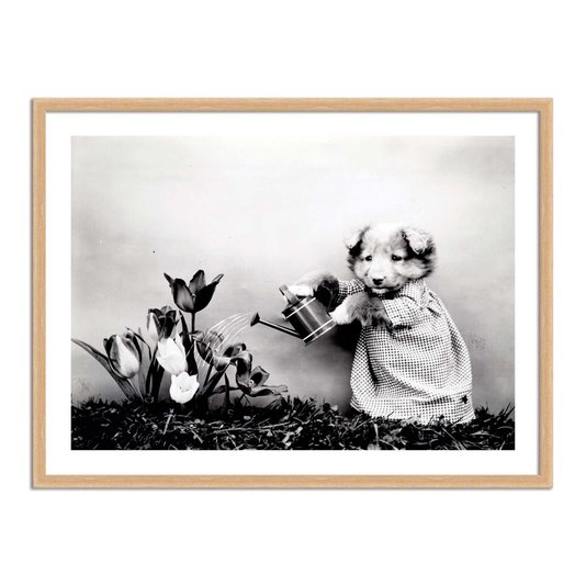 Quadro Decorativo Cachorrinha Jardineira