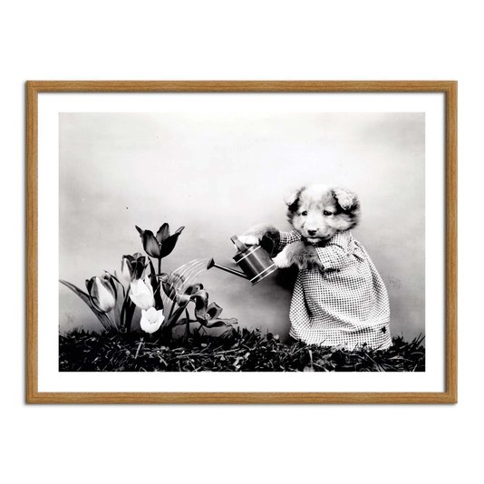 Quadro Decorativo Cachorrinha Jardineira