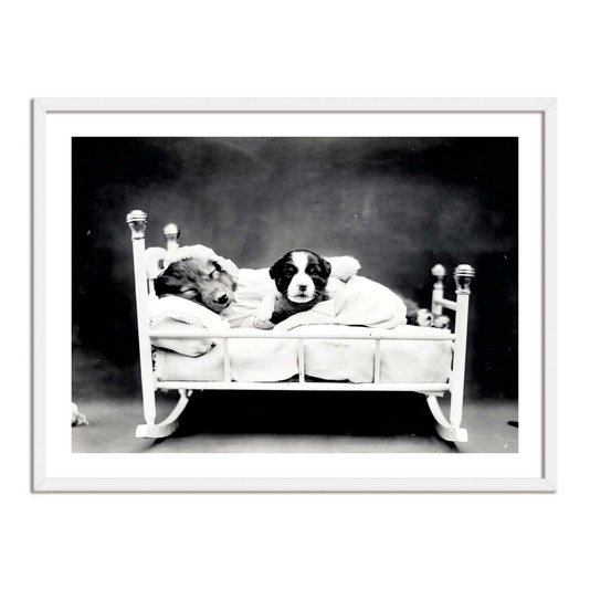 Quadro Decorativo Cachorrinhos Soninho