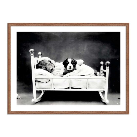Quadro Decorativo Cachorrinhos Soninho