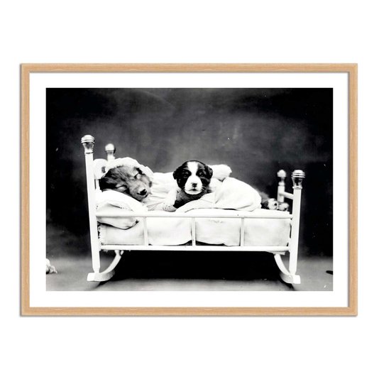 Quadro Decorativo Cachorrinhos Soninho