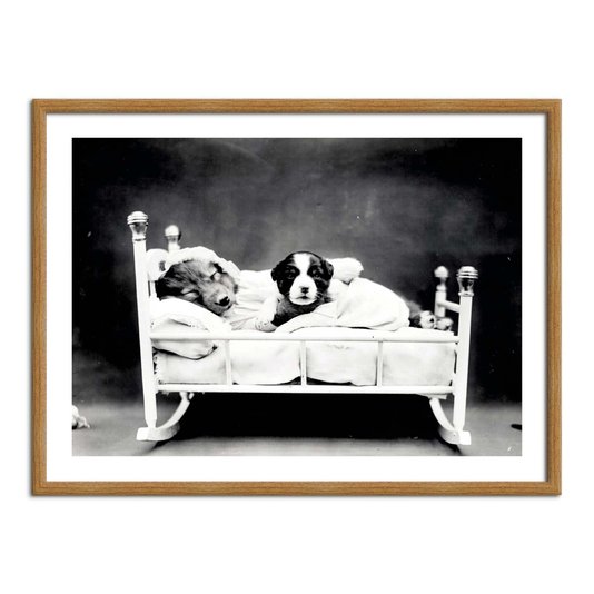 Quadro Decorativo Cachorrinhos Soninho