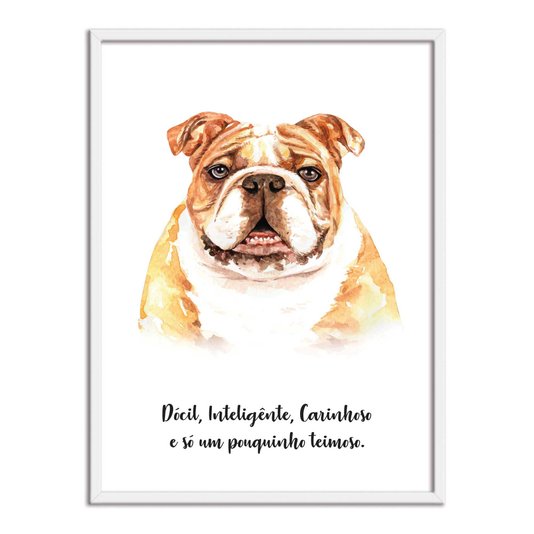 Quadro Decorativo Cachorro Bulldog Inglês Características da Raça
