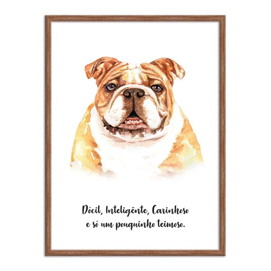Quadro Decorativo Cachorro Bulldog Inglês Características da Raça