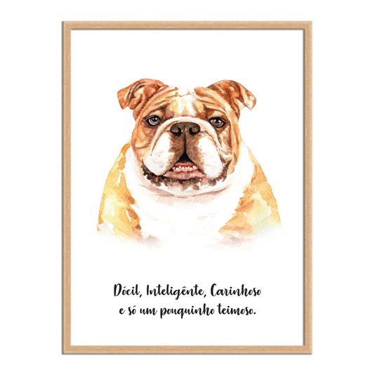 Quadro Decorativo Cachorro Bulldog Inglês Características da Raça