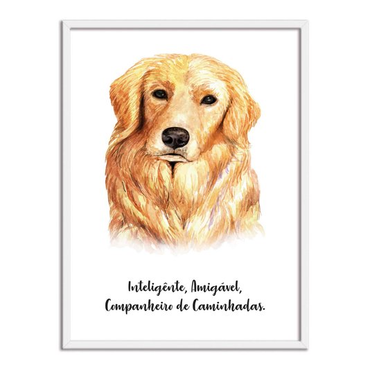 Quadro Decorativo Cachorro Golden Retriever Características da Raça