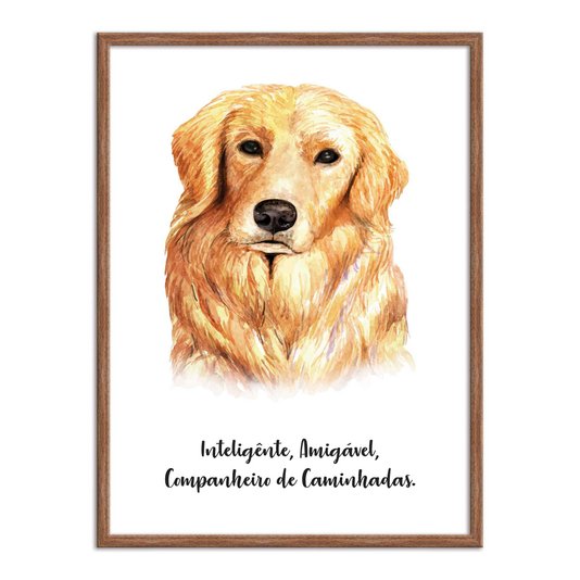 Quadro Decorativo Cachorro Golden Retriever Características da Raça