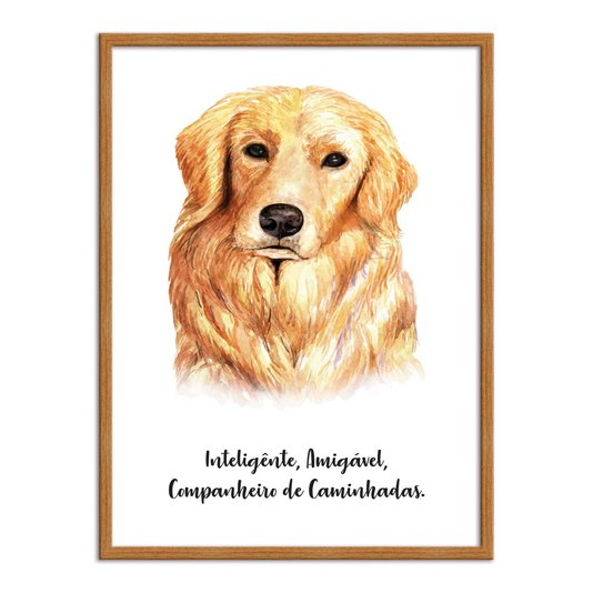 Quadro Decorativo Cachorro Golden Retriever Características da Raça