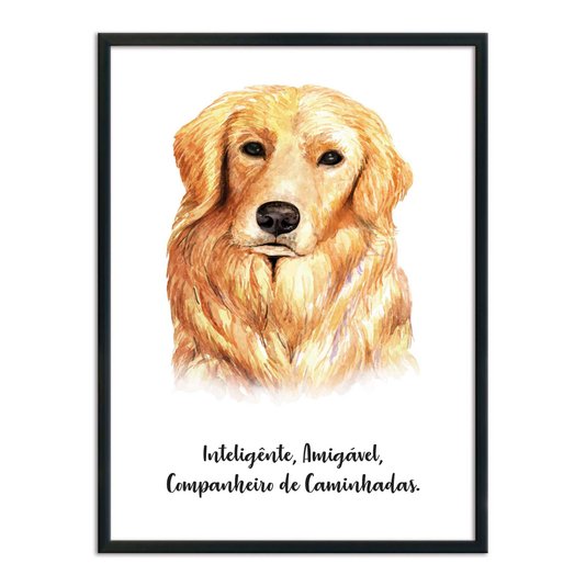 Quadro Decorativo Cachorro Golden Retriever Características da Raça
