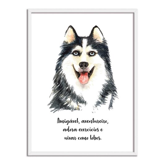Quadro Decorativo Cachorro Husky Siberiado Características da Raça