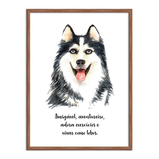 Quadro Decorativo Cachorro Husky Siberiado Características da Raça