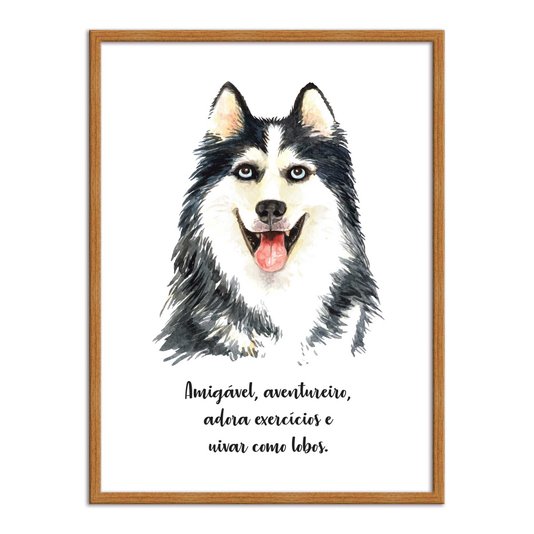 Quadro Decorativo Cachorro Husky Siberiado Características da Raça