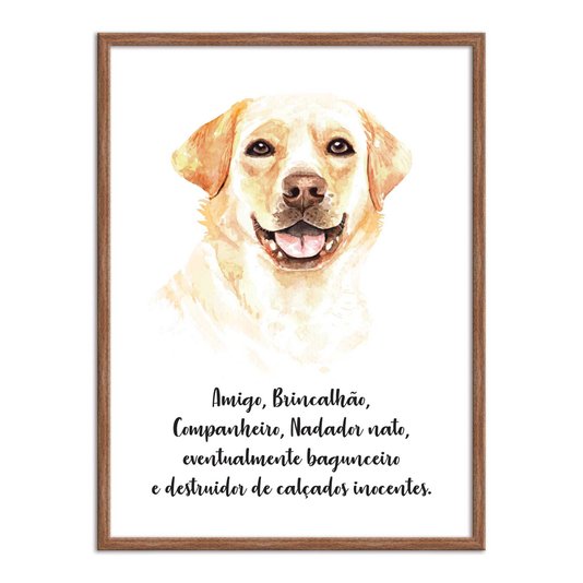 Quadro Decorativo Cachorro Labrador Características da Raça