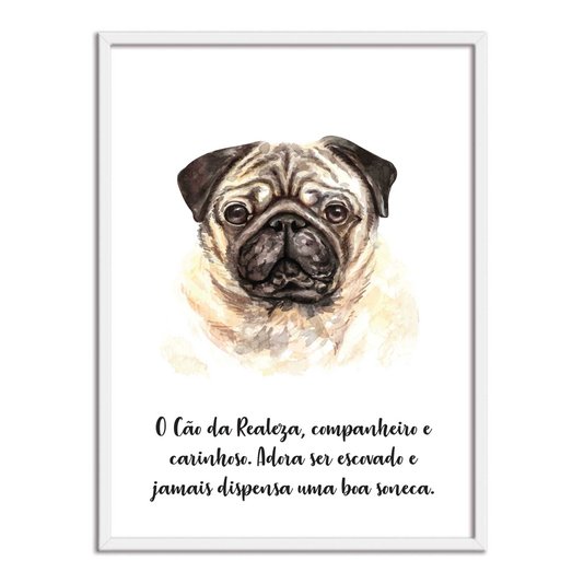 Quadro Decorativo Cachorro Pug Características da Raça